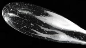 Suspension FIREFLY en verre soufflé transparent avec jonction en métal chromé et éclairage LED par Reflex Angelo, disponible chez D-Style Interior