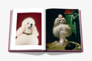Livre design haut de gamme Chic Dogs par Assouline, édition Classics, disponible chez D-Style Interior.