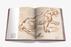 Livre design haut de gamme Cartier Panthère par Assouline, édition Legends sous étui luxueux, disponible chez D-Style Interior.