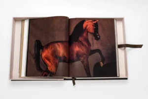 Livre design haut de gamme Horses from Saudi Arabia par Assouline, édition en soie sous écrin, disponible chez D-Style Interior.