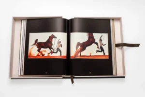 Livre design haut de gamme Horses from Saudi Arabia par Assouline, édition en soie sous écrin, disponible chez D-Style Interior.