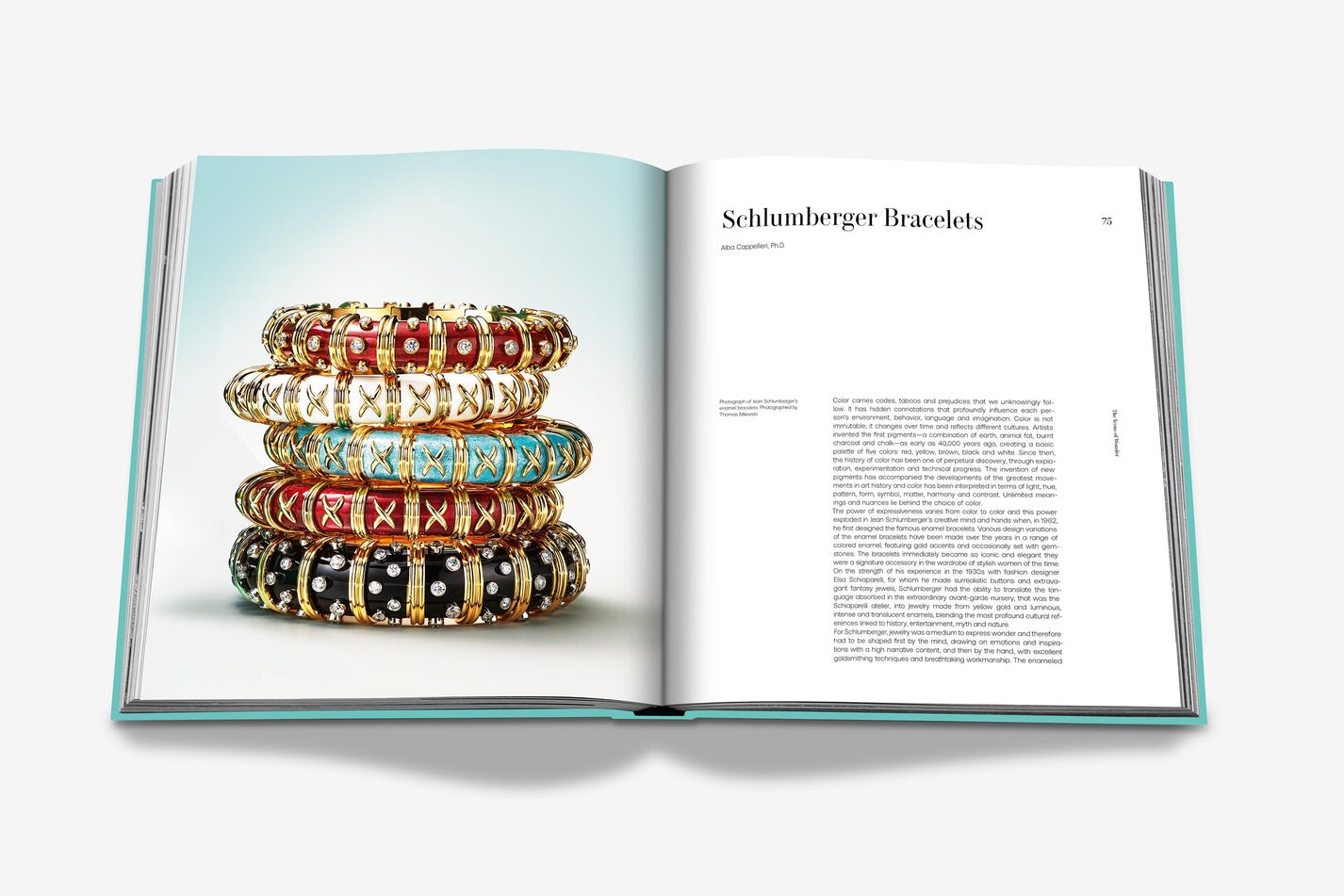 Livre design haut de gamme Tiffany & Co: Landmark par Assouline, édition soie sous étui lin, disponible chez D-Style Interior.