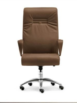 Forum Fauteuil President Poltrona Frau : fauteuil design haut de gamme pour direction. Structure bois, cuir Pelle Frau®, base aluminium. D-Style Interior.