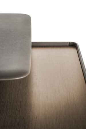 Trust | Bureaux design haut de gamme Regular Poltrona Frau par Lievore – Altherr – Park, design italien haut de gamme avec plateau en cuir Pelle Frau® ou Techno Wood, disponible chez D-Style Interior