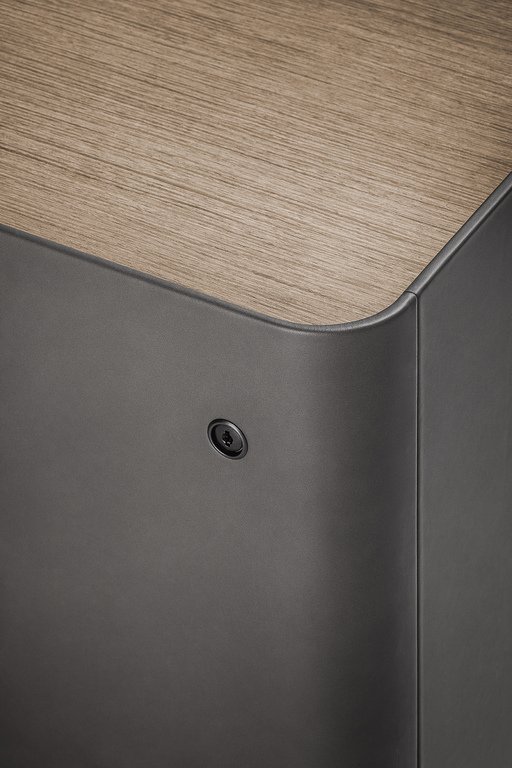 Bibliothèque design haut de gamme Trust Cabinet par Poltrona Frau, design Lievore-Altherr-Park avec structure bois et cuir Saddle Executive, disponible chez D-Style Interior