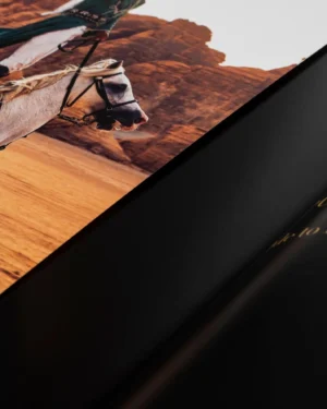 Livre design haut de gamme Horses from Saudi Arabia par Assouline, édition en soie sous écrin, disponible chez D-Style Interior.